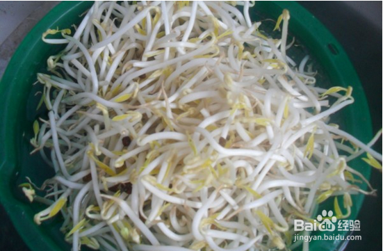 香葱绿豆芽的介绍