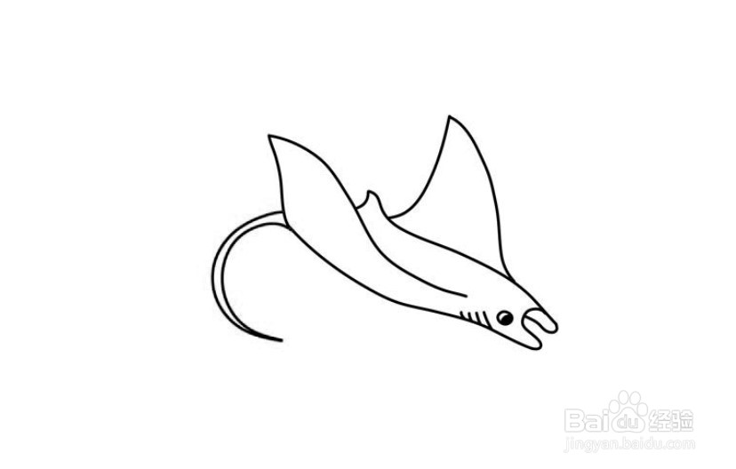 怎么画一条魔鬼鱼？
