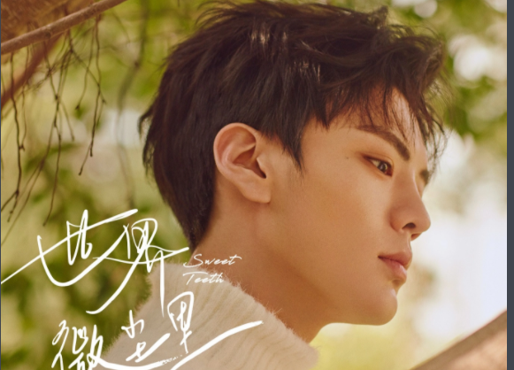 艾景初是什么电视剧