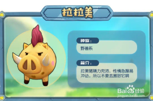 摩尔庄园忽悠猫在哪抓