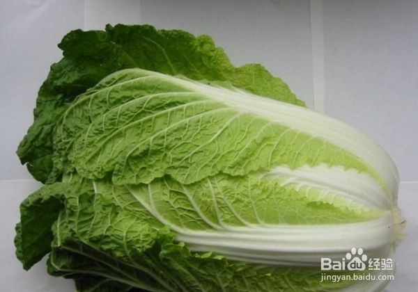 吃白菜的3大禁忌