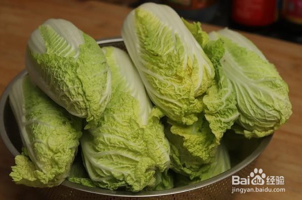 如何选购白菜？