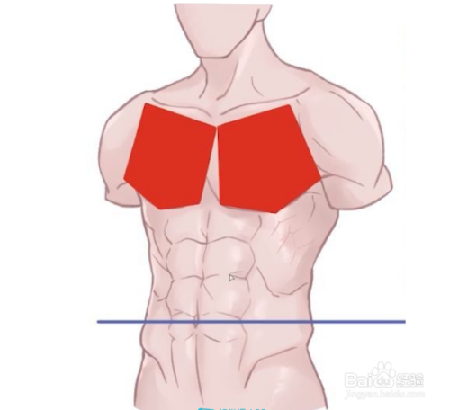 男性腹肌怎么画?