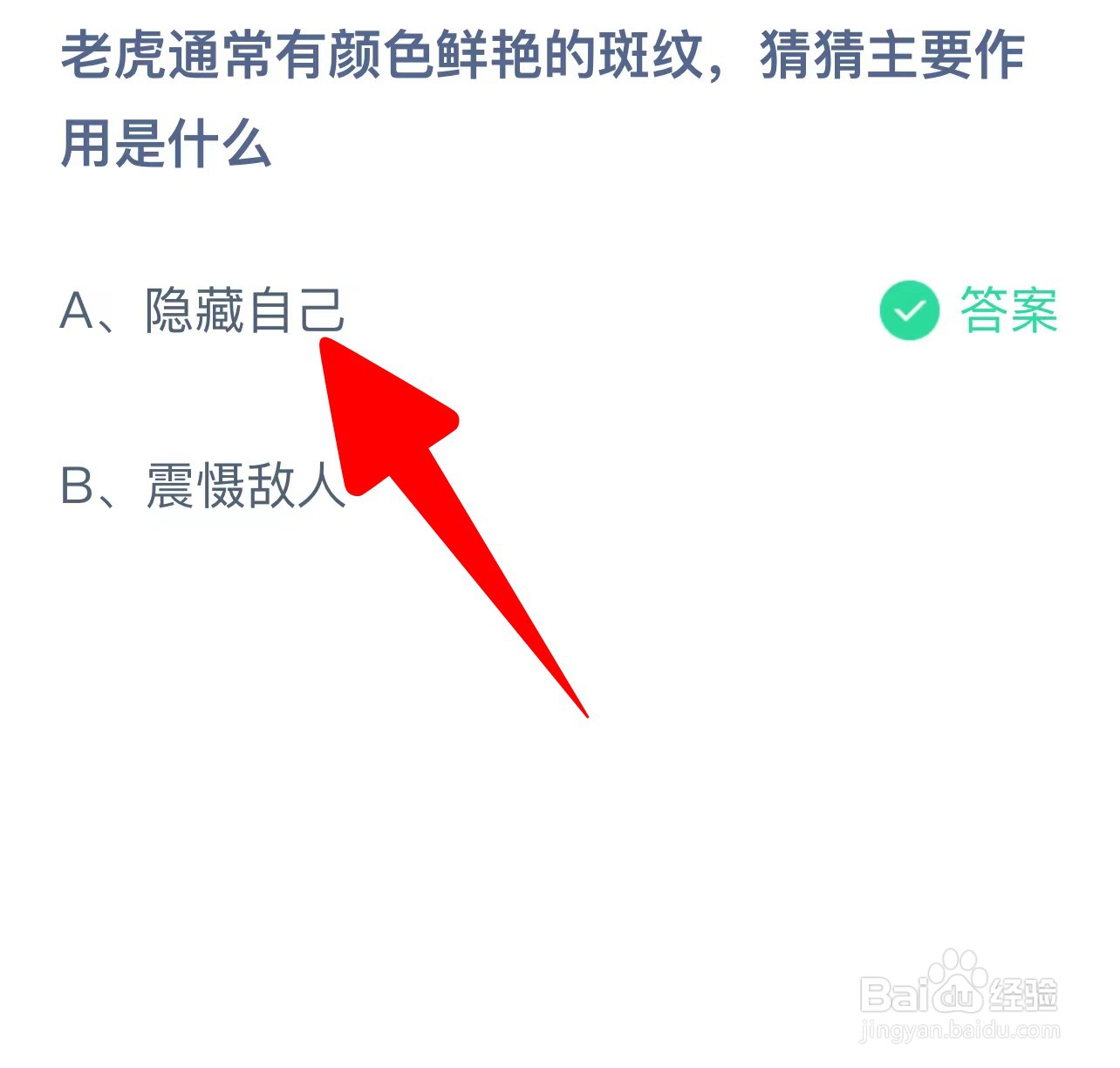 老虎通常有颜色鲜艳的斑纹主要作用是蚂蚁庄园