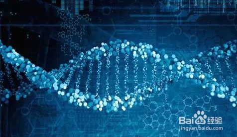 人的寿命到底由什么决定的?