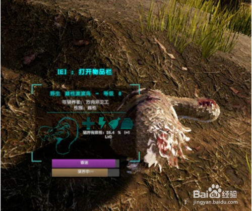 方舟饲料怎么做