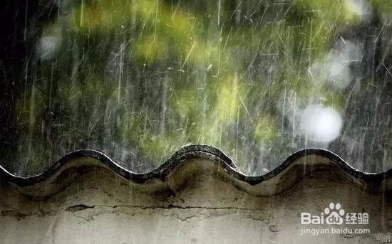 七个摄影小技巧,让你在雨天也能拍出好照片