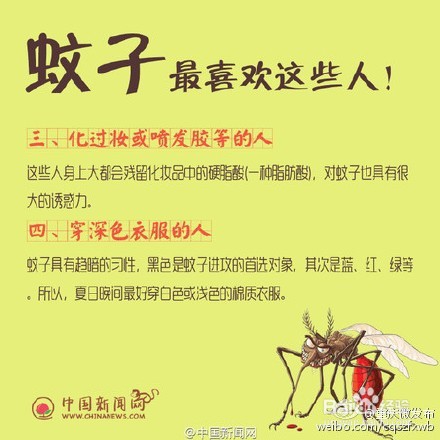 为什么，蚊子爱的总是你？