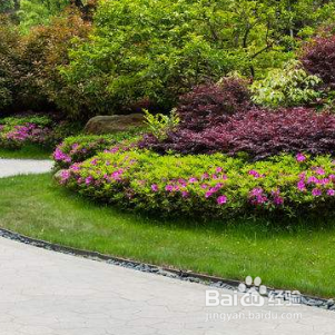 物业公司如何提升客户满意度