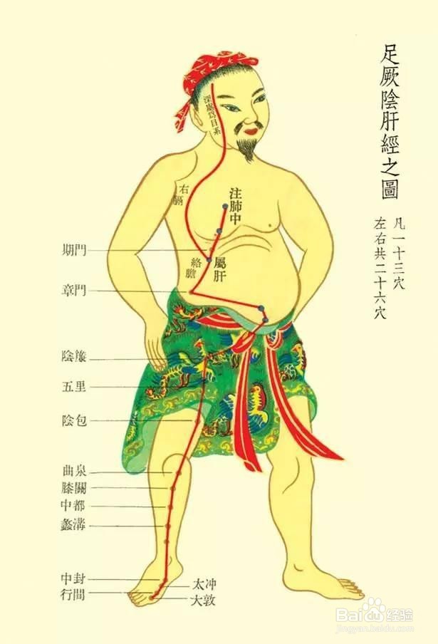 春天最棒的护肝法,不花一分钱