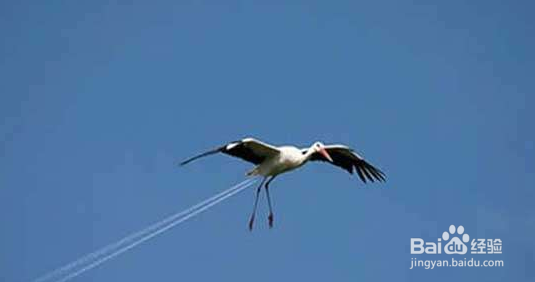 如何快速提高英语口语