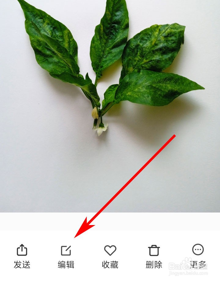 红米手机如何给图片添加文字