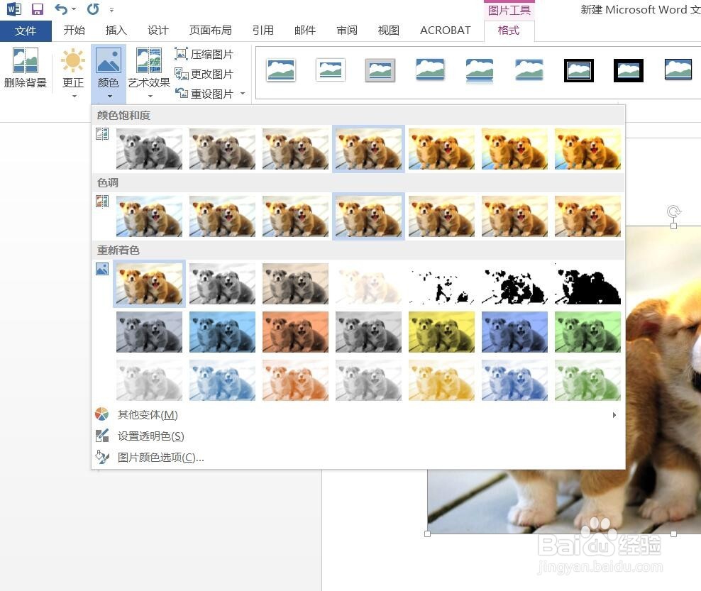 Word2016怎样调整插入图片的亮度
