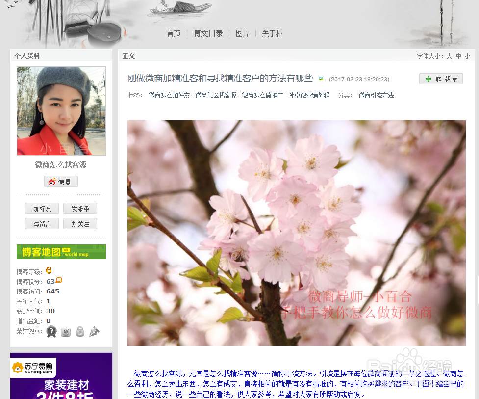 怎么给文章找漂亮的图片做插图