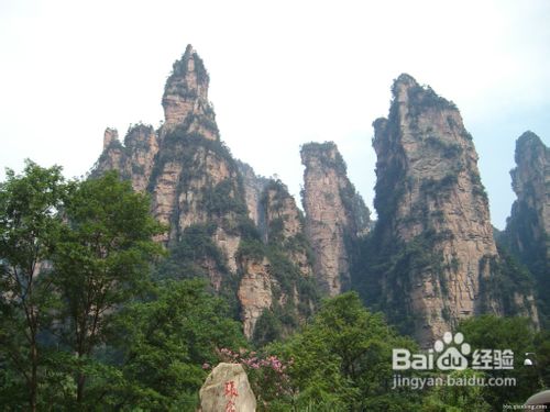 张家界学生自助游攻略