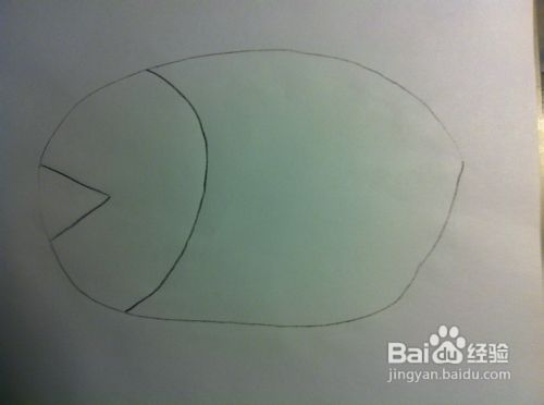 教你画动物——小鱼