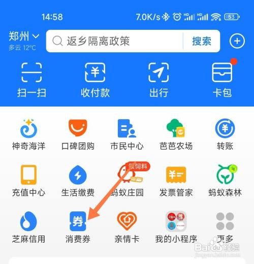 支付宝如何查看领的消费券