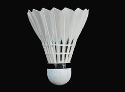 如何提高羽毛球技术?