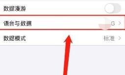 iphone12的5g网络怎样关闭