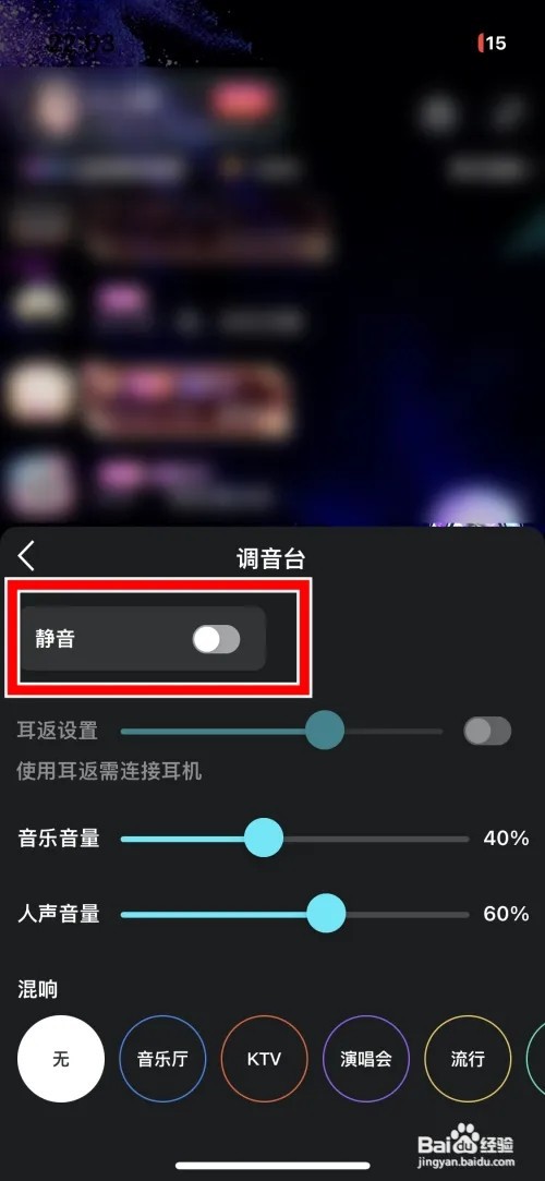 豚豚语音直播间静音如何设置