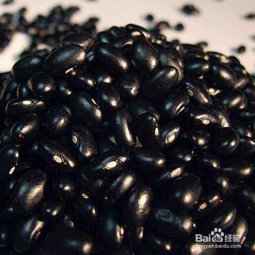 黑豆的养殖方法和注意事项