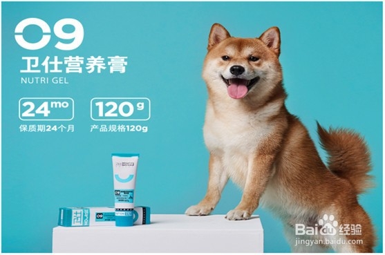 营养膏的好处你造吗?