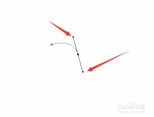 PS中钢笔工具怎么使用？