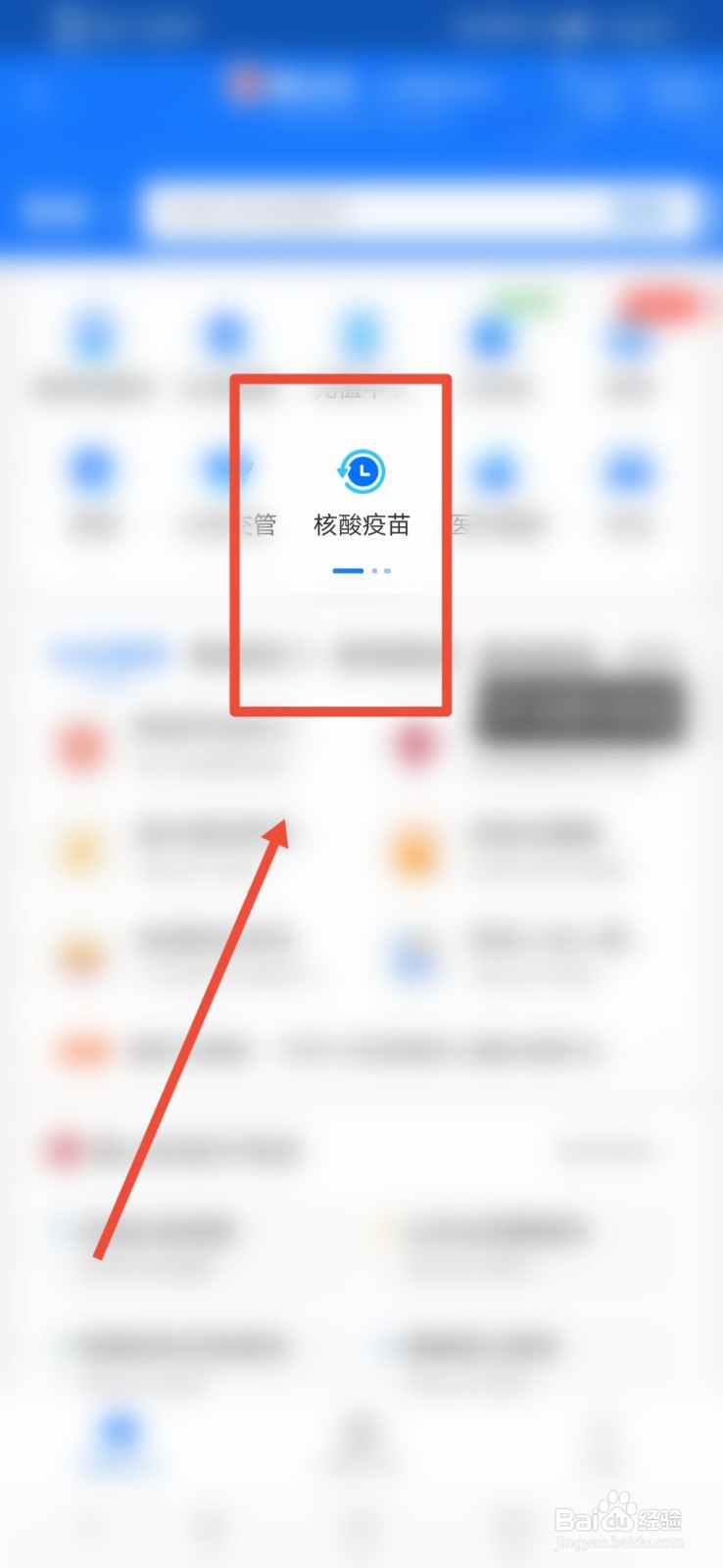 支付宝怎么查询宠物疫苗