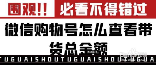 微信购物号如何查看带货总金额