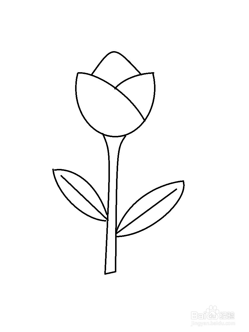 画郁金香的简单方法