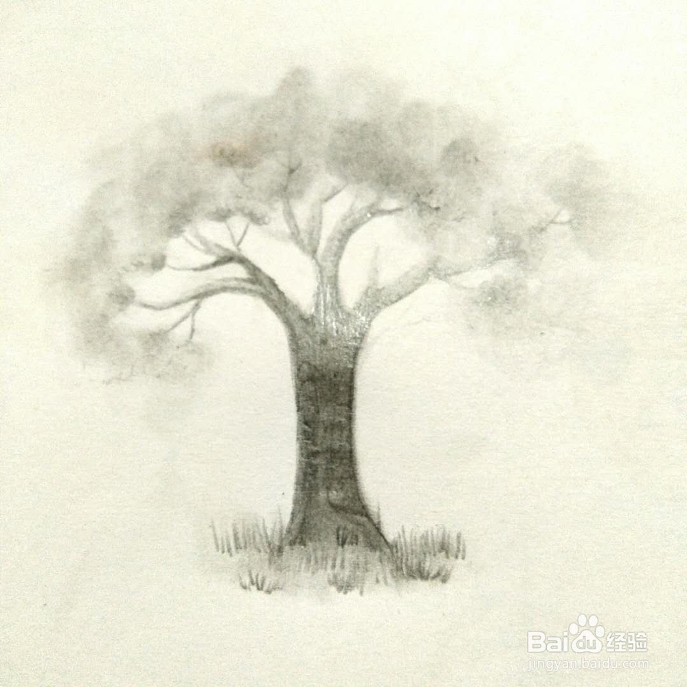 怎样画一颗树？