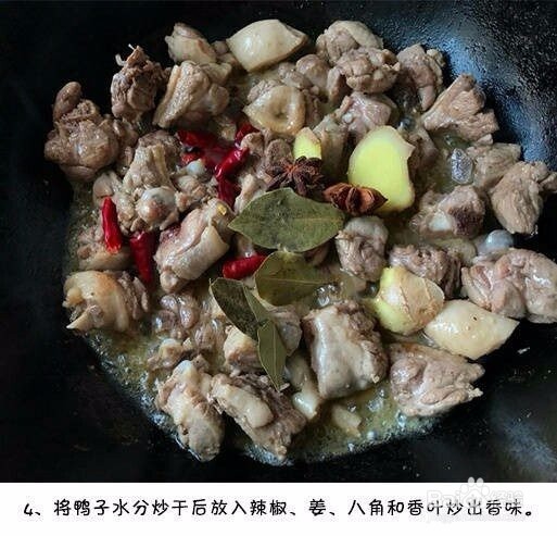 经典酱香啤酒鸭