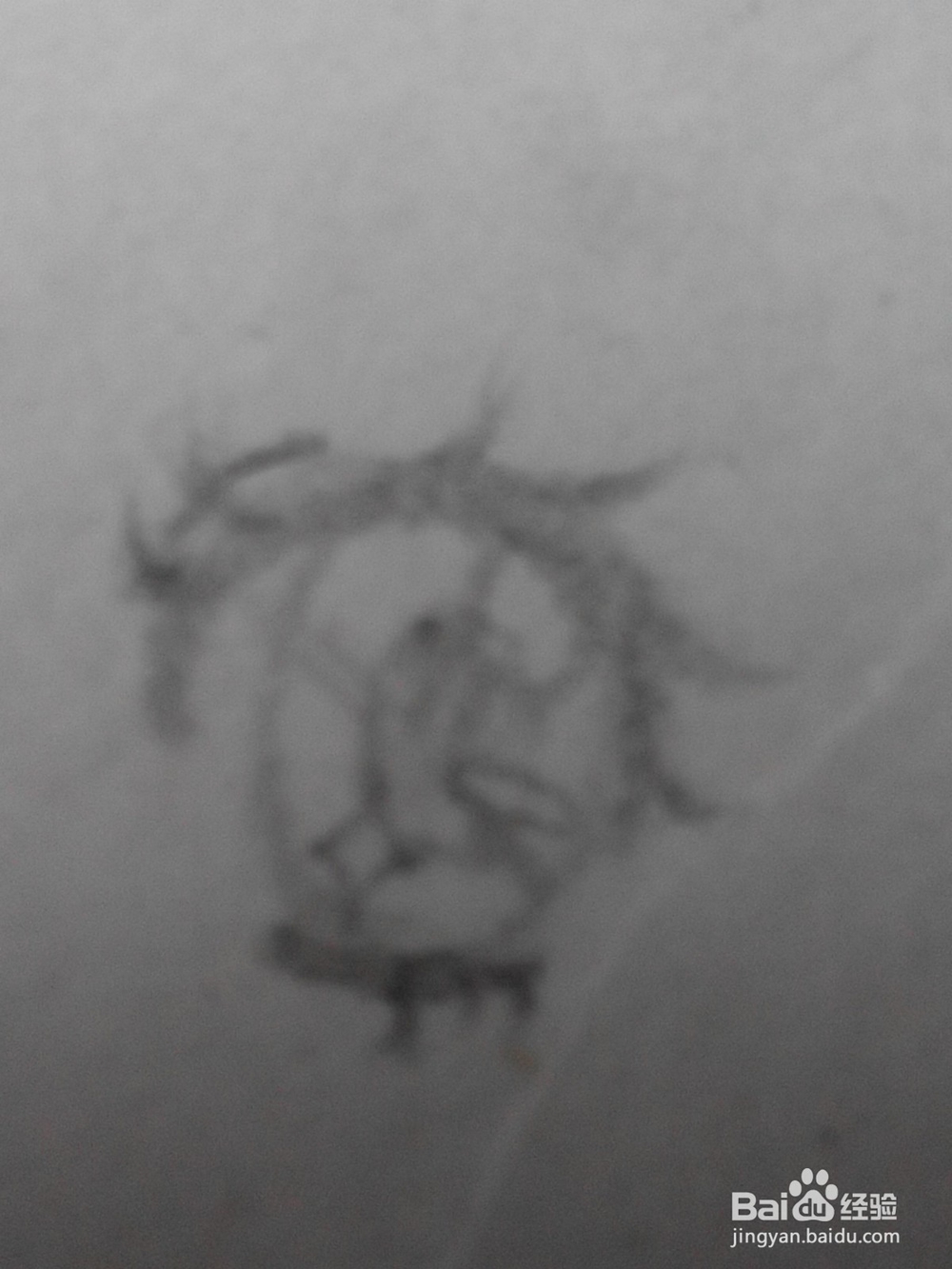 原创动漫人物的眼睛