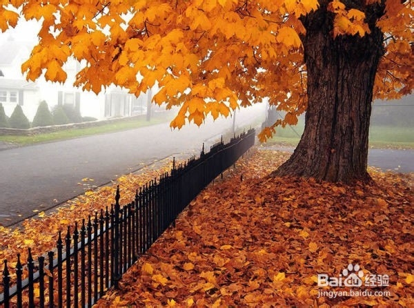 安全防范：[4]火车上遇到纵火应该怎么办