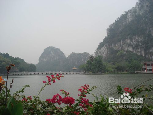 在广东看落霞与仙鹤齐飞舞