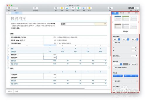 如何利用Numbers表格制作投资回报表格