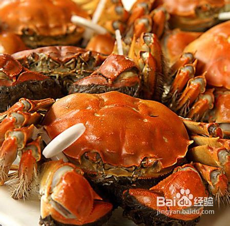 导致流产的食物有哪些