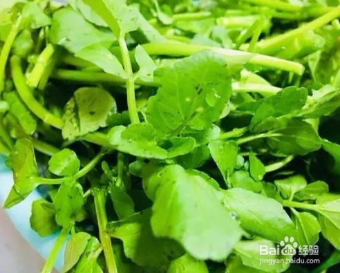 西洋猪肉菜饺子