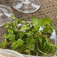 如何调不含酒精的mojito