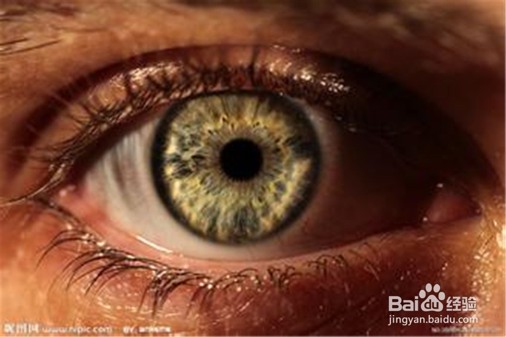 眼睛了亮,保养要精心