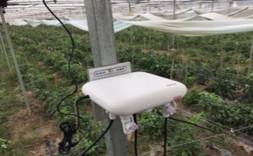 跟踪区(TA)规划应遵循什么原则