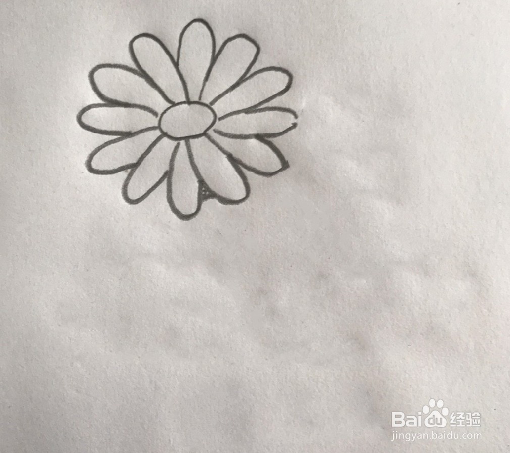 【简笔画】蒲公英的分步画法