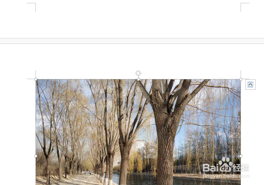 Word批量调整图片的大小