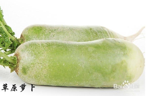冬天三宝：[1]冬吃萝卜夏吃姜