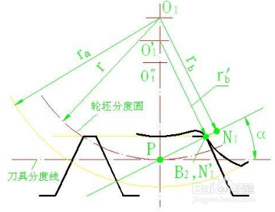 根切现象是如何产生的？