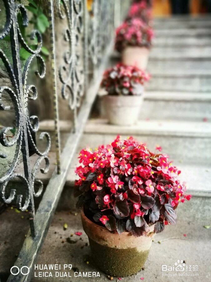 用华为P9如何拍出单反的感觉