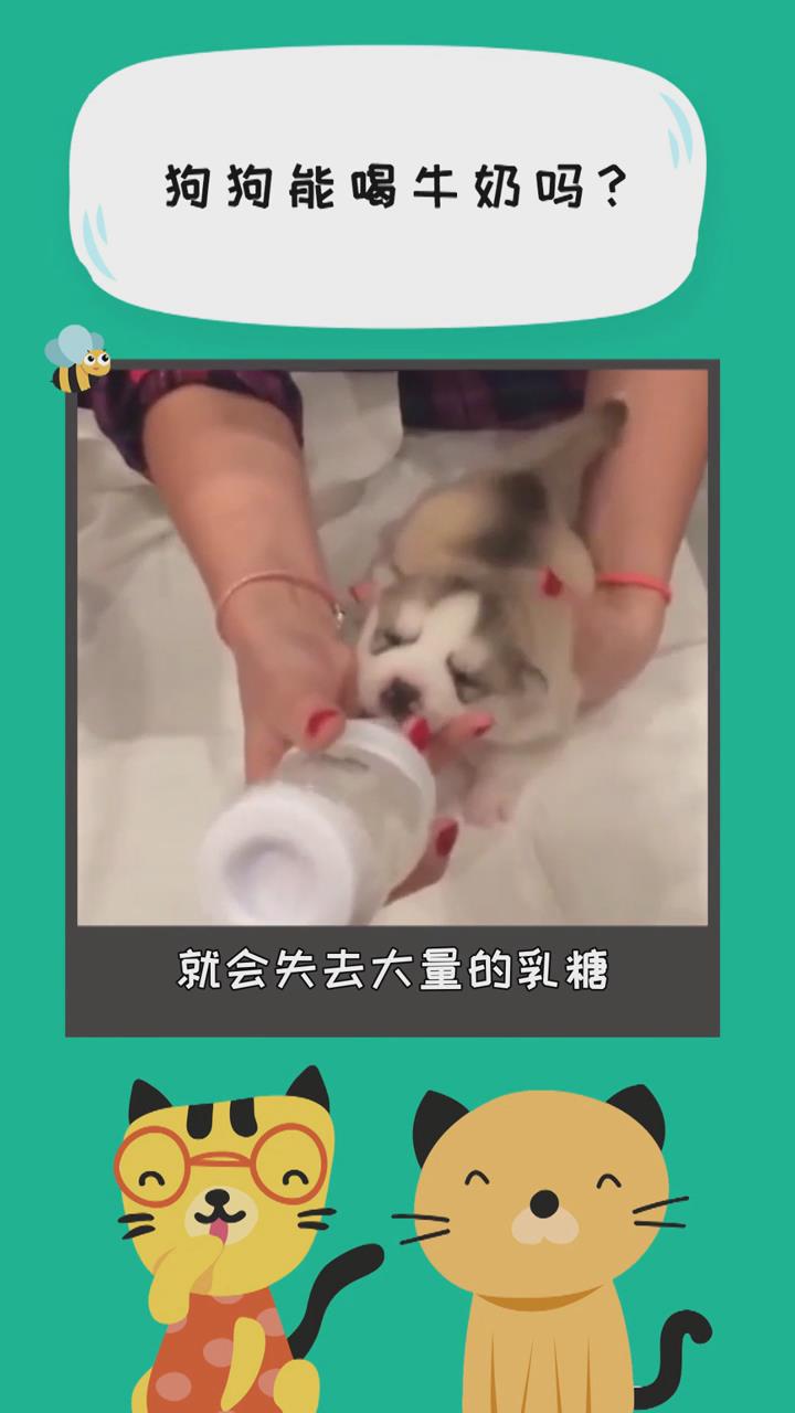 狗狗能喝牛奶吗