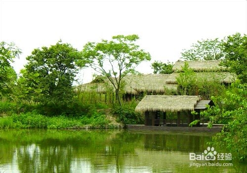 杭州西溪湿地自助游攻略