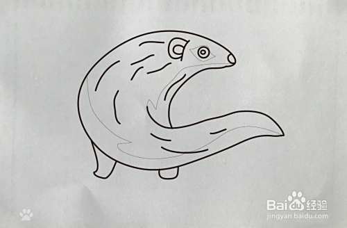 【简笔画】獴的画法
