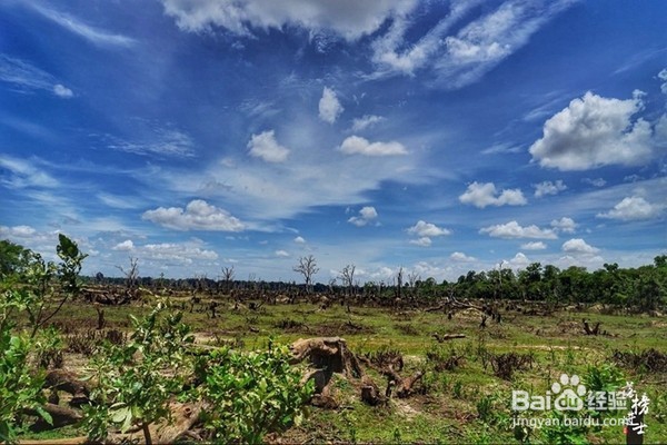 涅盘宫，龙蟠水池上的一颗明珠